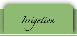 Irrigation