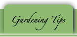 Gardening Tips